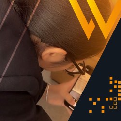 Chinese supplier auditors agents assessors